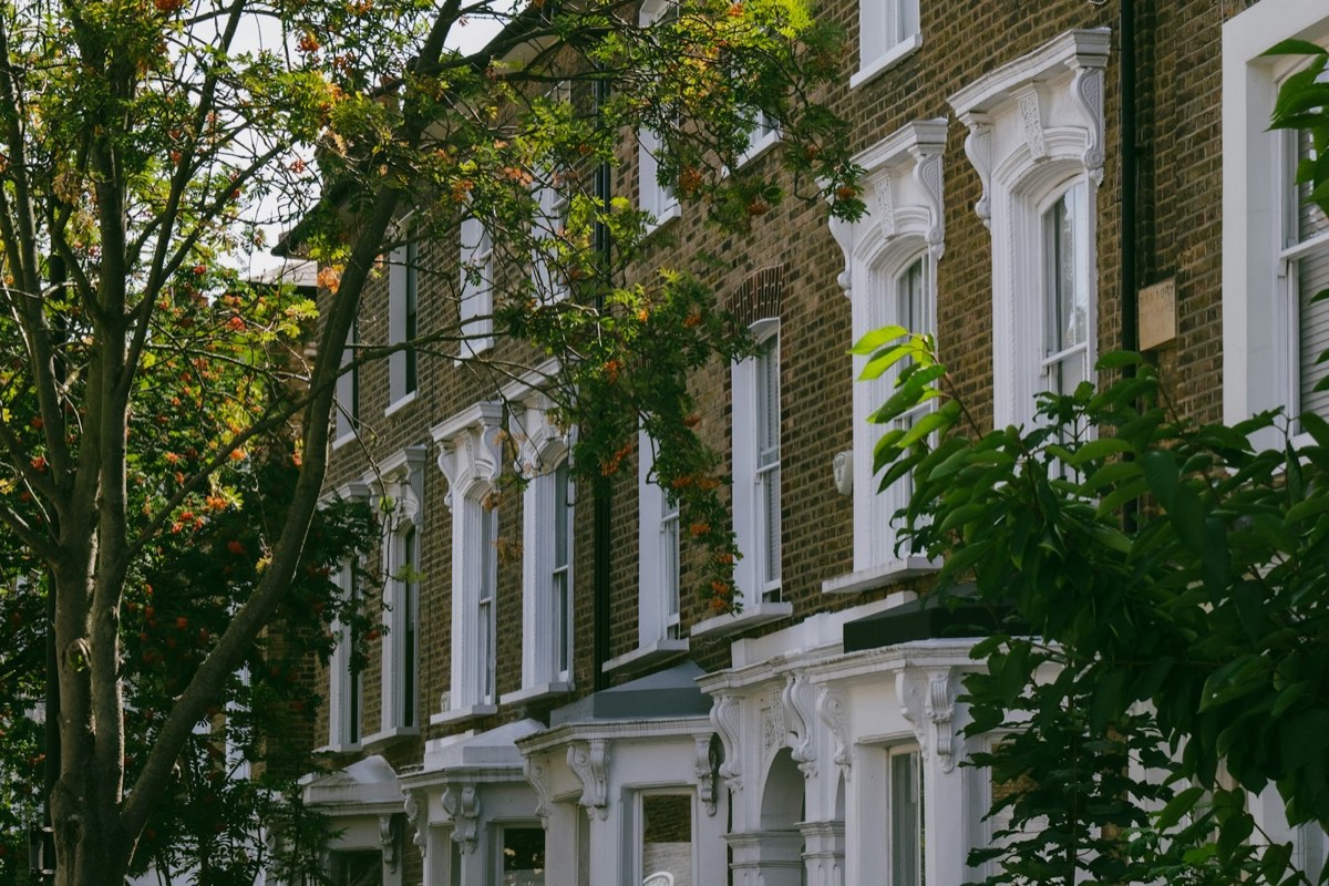 White stucco and brick terraced houses on a tree-lined London street